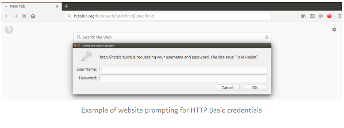 browser pop up authentication window